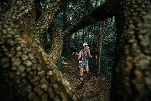 BIB: 
                            <button type="button" onclick="openModal(25670002)" class="btn btn-primary btn-sm float-right btn-popup" data-toggle="modal" data-target=".modal-high-quality">
                        <i class="fas fa-shopping-cart"></i> Add to Cart
                    </button>
                                            <button type="button" onclick="isThisMe(25670002, true)" class="btn btn-success btn-sm float-right btn-popup btn-isme hidden" data-toggle="tooltip" data-placement="bottom" title="นี่คือรูปของคุณใช่ไหม คลิกที่นี่เพื่อเอาเข้าอัลบั้ม">
                        <i class="fas fa-plus"></i> Add to album
                    </button>
                    <button type="button" onclick="isThisMe(25670002, false)" class="btn btn-warning btn-sm float-right btn-popup btn-isnotme hidden">
                        <i class="fas fa-ban"></i> Remove from album
                    </button>